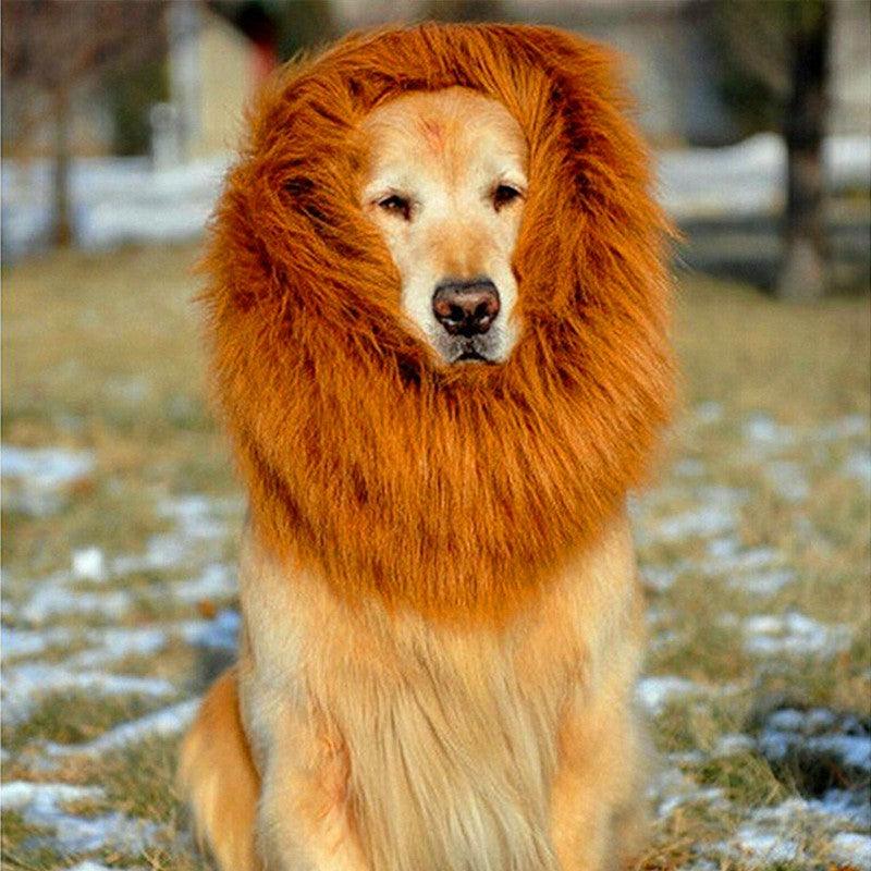 Regal King's Mane For Majestic Mutts-0